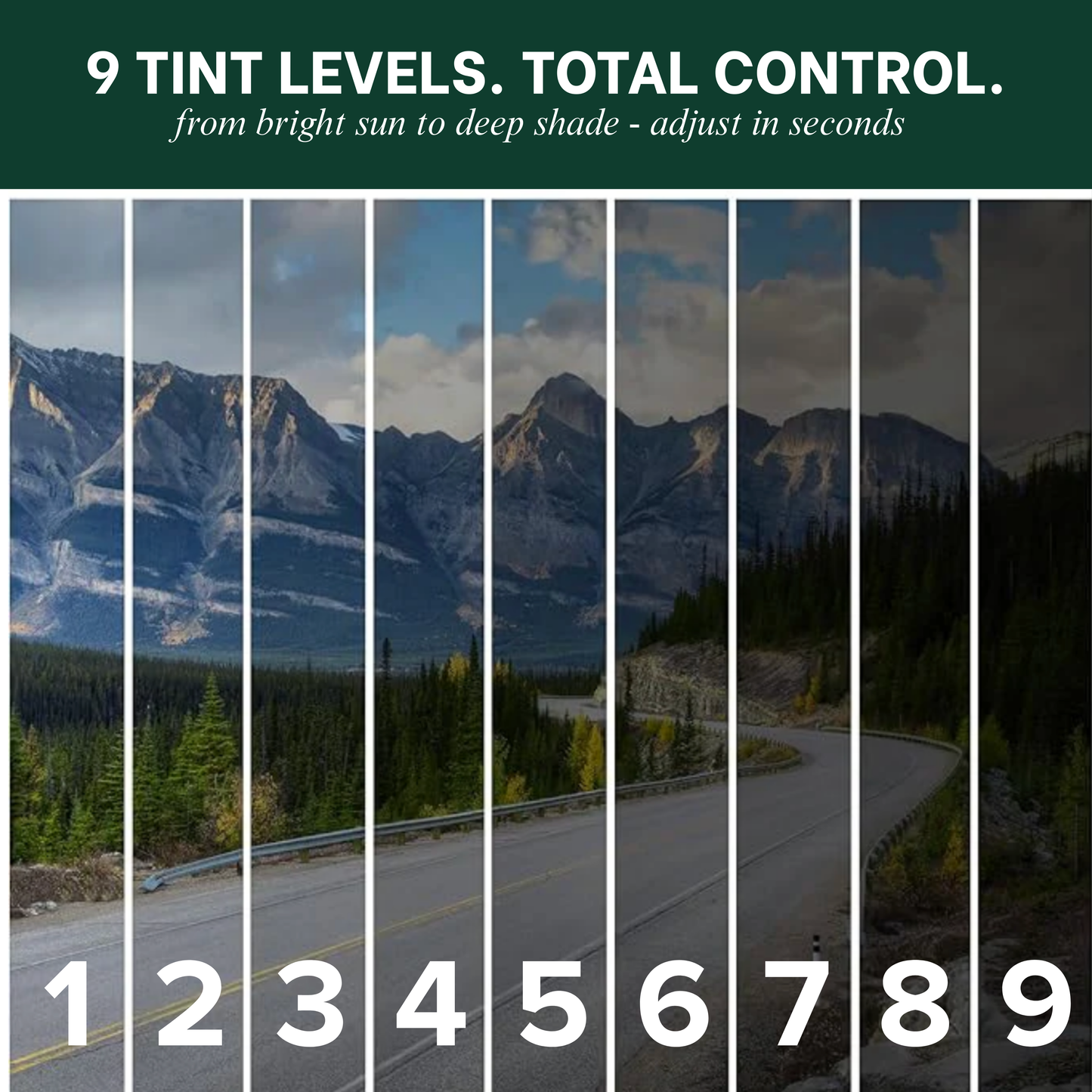 SunShift™ Adjustable Tint Sunglasses